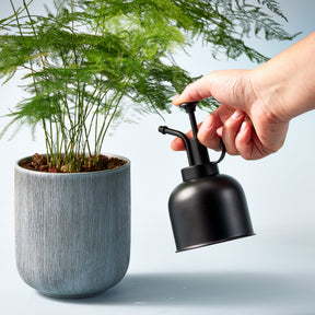 house plant mister spray Brass & Black Glass Mister