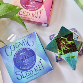 Cosmic Seed Kit - Fire